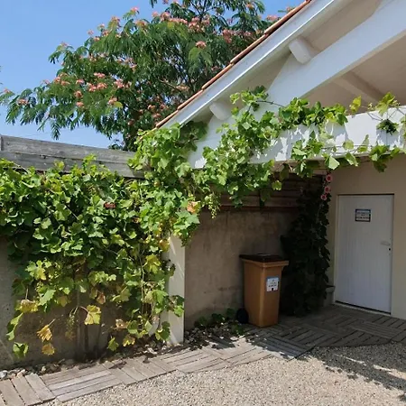 D'arcay - Adriae * L'Aiguillon-sur-Mer