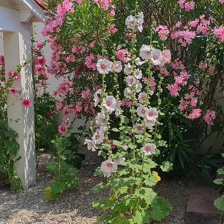 Villa D'arcay - Adriae