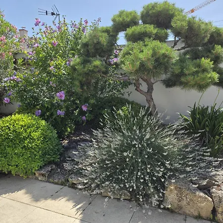 D'arcay - Adriae * LʼAiguillon-sur-Mer
