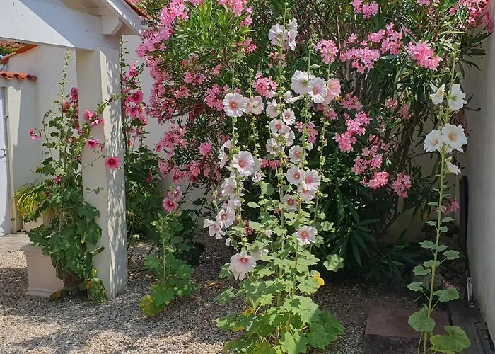 Villa D'arcay - Adriae